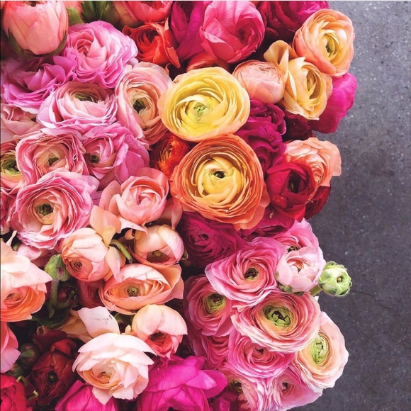 LIKE THIS + BOOKMARK MY CLOSET 🖤 - Picture 8 of 10